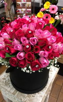 LG Floral Design