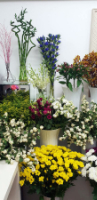 LG Floral Design