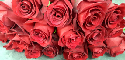 LG Floral Design
