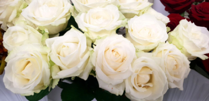 LG Floral Design