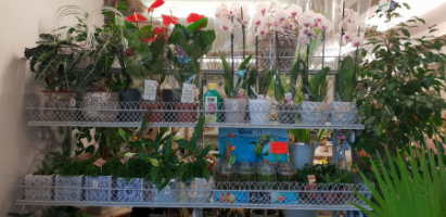 LG Floral Design