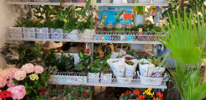 LG Floral Design